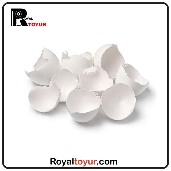 مزایای پوست تخم مرغ 