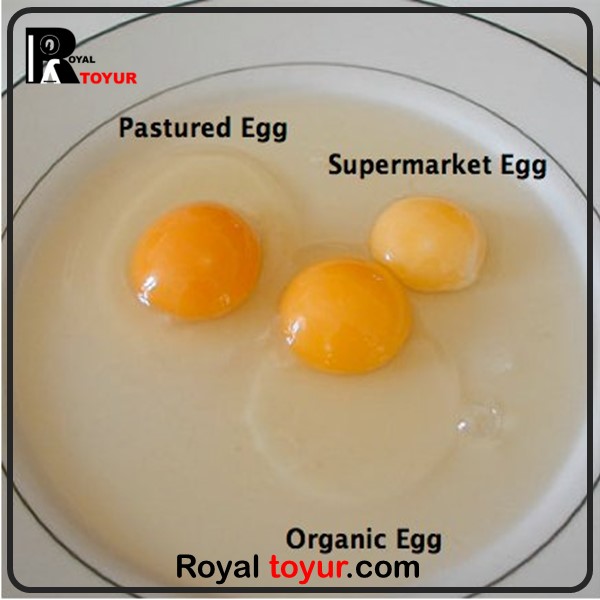 تفاوت تخم مرغ محلی و سفید صنعتی 